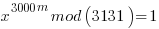  x^{3000m} mod (3131) = 1